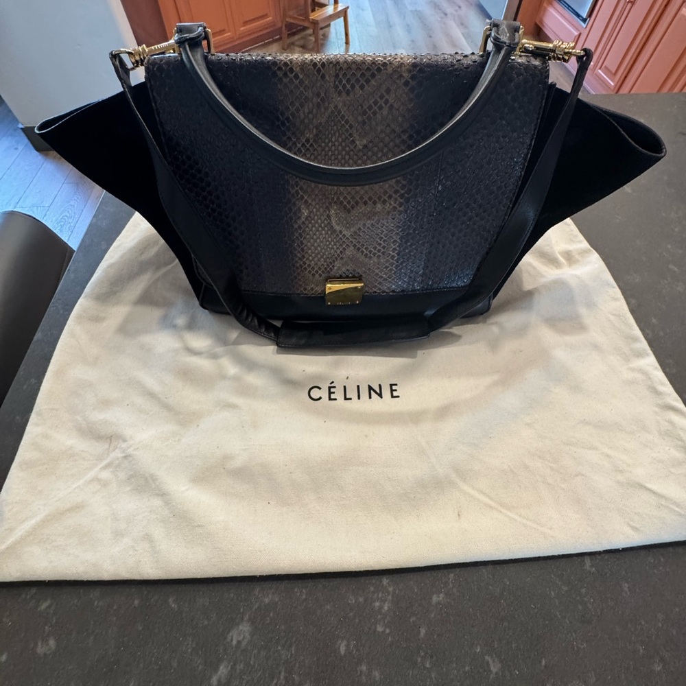 Celine Python Trapeze Bag with shoulder strap - image 3